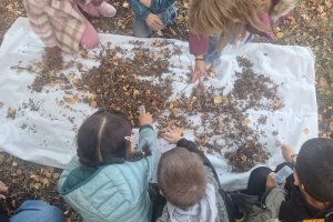 les DécouVertes des Petites Bêtes