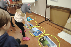 CDPA-StVaast_DecouVerte_Animal-11-scaled