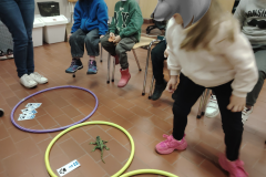 CDPA-StVaast_DecouVerte_Animal-13-scaled