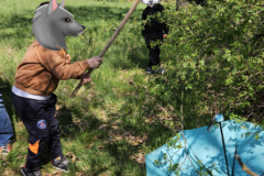 CDPAStVaast_Cox-4