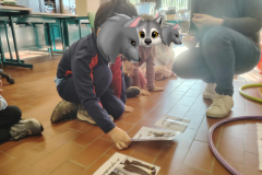 CDPAStVaast_DecouVerte_Monde_Animal-3