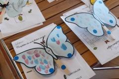 CDPAStVaast_Le_Papillon-2