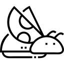 coccinelle